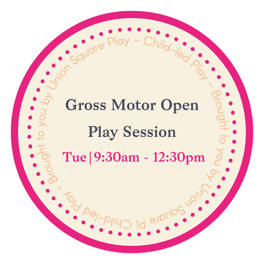 Gross Motor Open Play Session